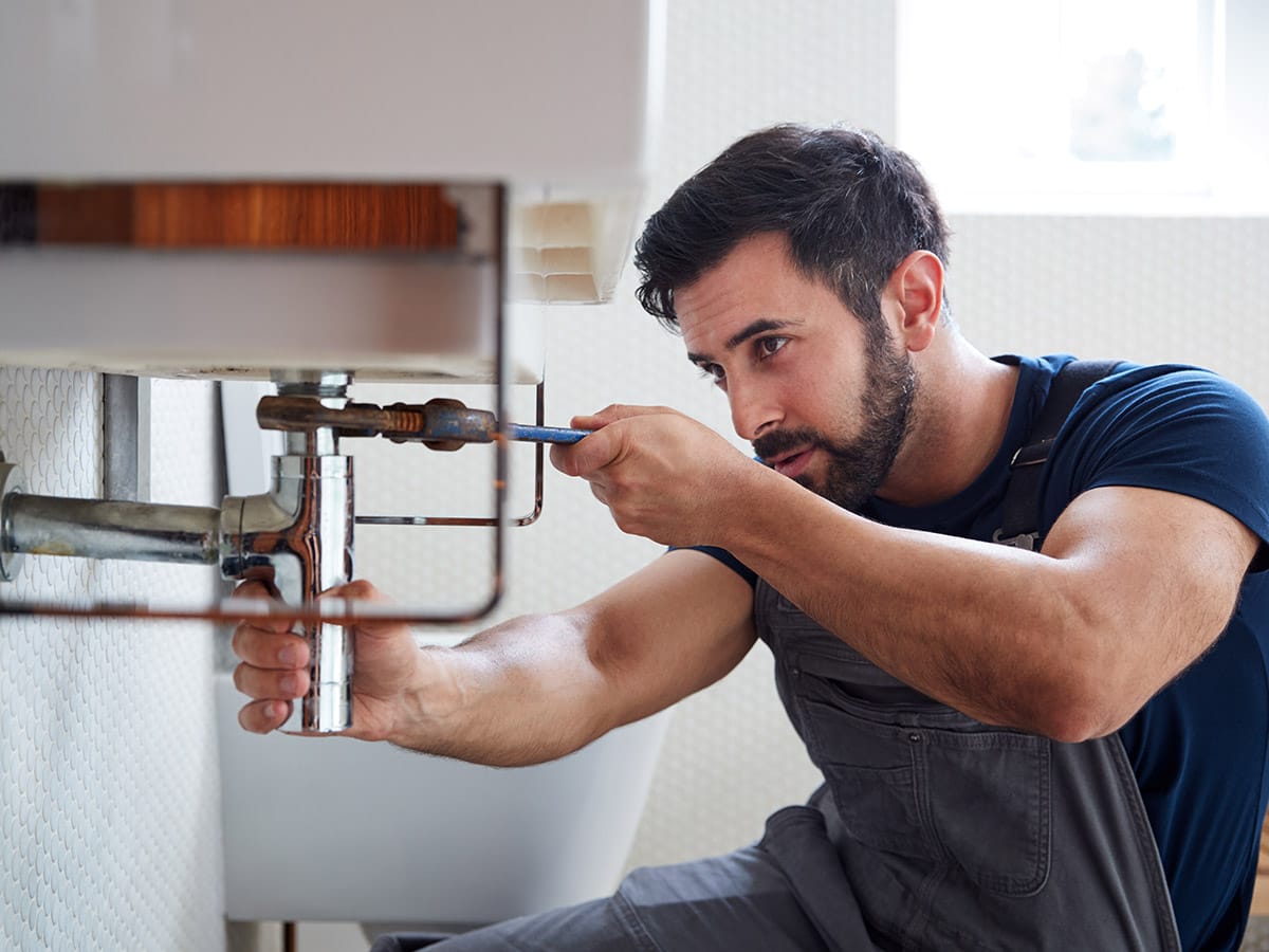 Whole house water filter maintenance and cartridge replacement training